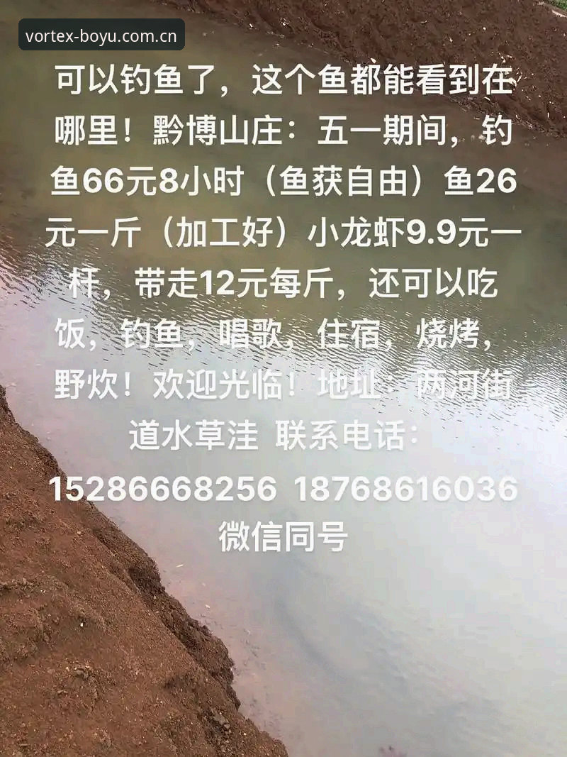 博鱼APP链接下载实用指南：从安装到流畅运行的必备知识